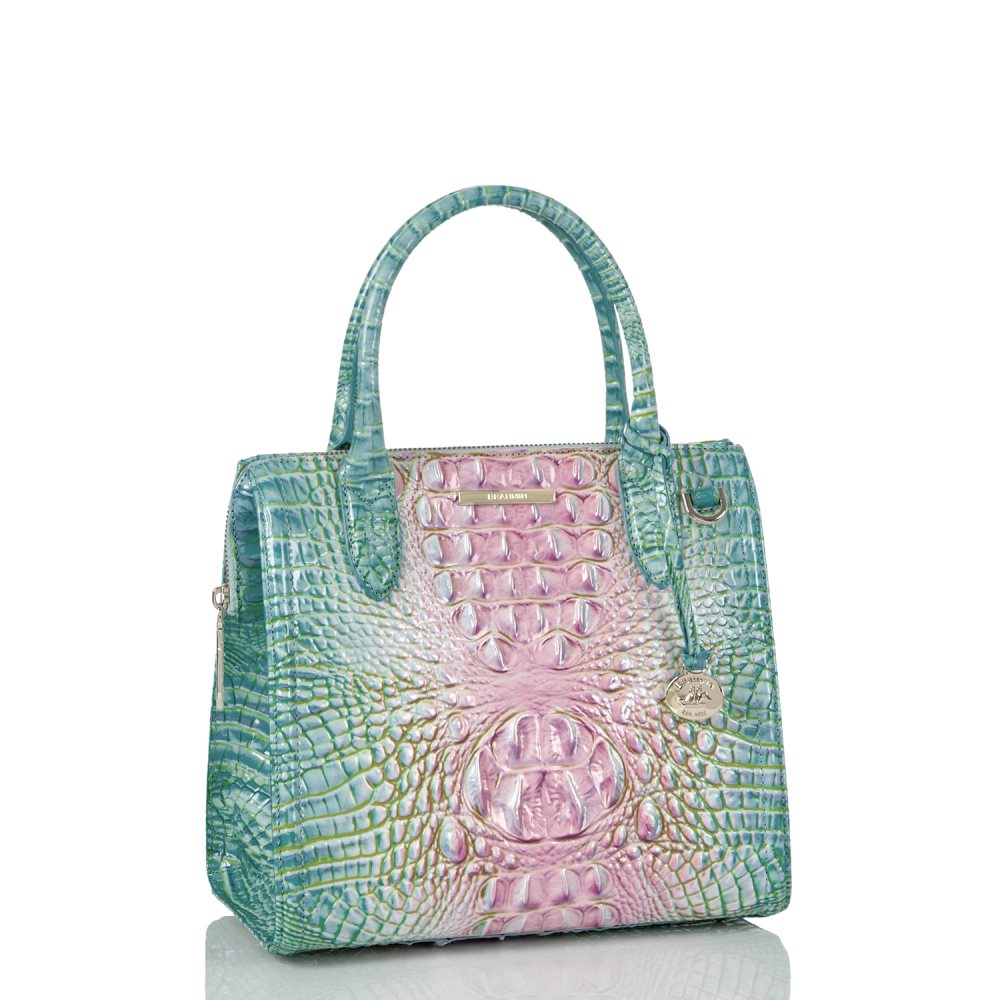 Brahmin Small Caroline Cotton Candy Ombre Melbourne